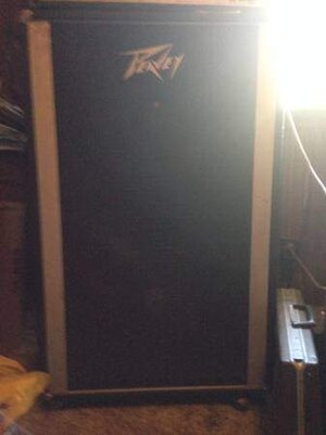 peavey cabinet.jpg