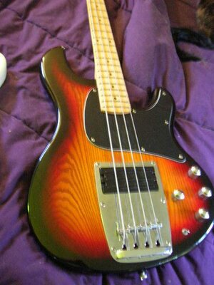 Musicman Stingray 1994 048.jpg