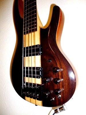 ESP LTD-B-5E with MODS.jpg