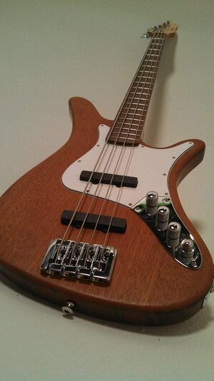 carvin 1.jpg