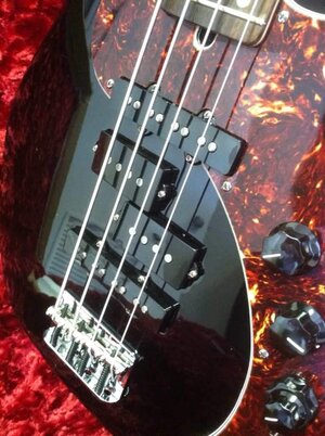ImageUploadedByTalkBass1388832115.673923.jpg