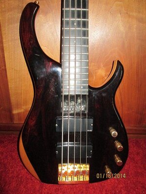 Modulus body.jpg