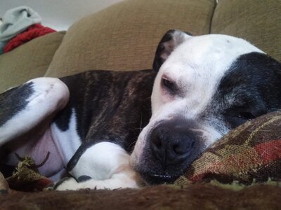 20140624_124630.jpg