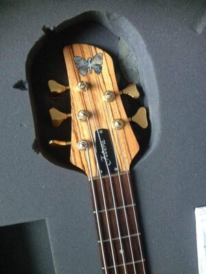 ImageUploadedByTalkBass1410092350.648239.jpg