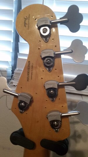 MTD AND JAG BASS 014.jpg