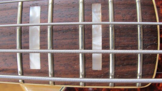 fender new 6.JPG