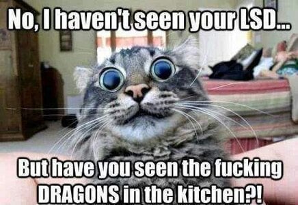 Dragons kitchen.jpg