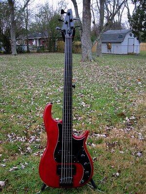 modulus Fretless 12-07.JPG