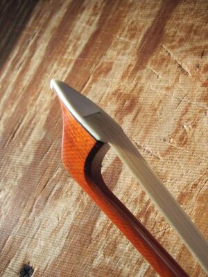 pro bow 004.JPG