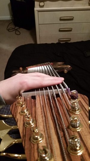 20160113_224331.jpg