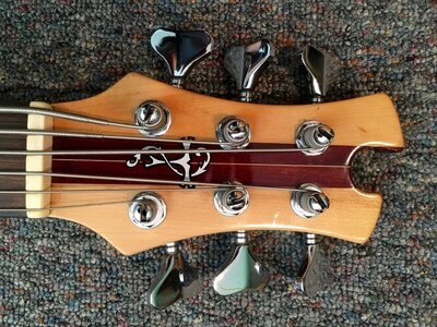 586Headstock.jpg