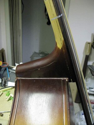 neck.jpg