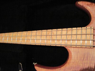 carvin icon4 006.JPG