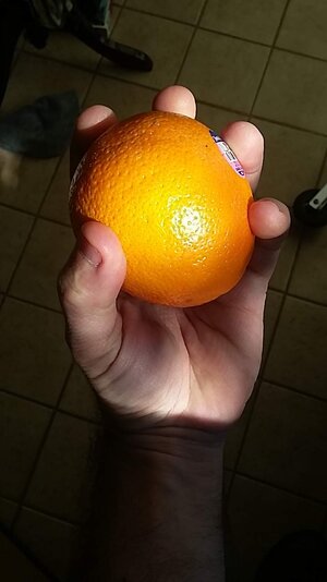 2016-03-19 15.55.05.jpg 2016-03-19 15.55.05.jpg
