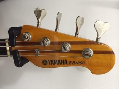 image7.jpeg