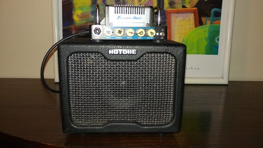 Hotone Thunderbass and Nano Cab Combo