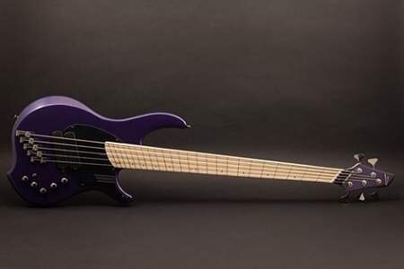 purpleng2.jpg