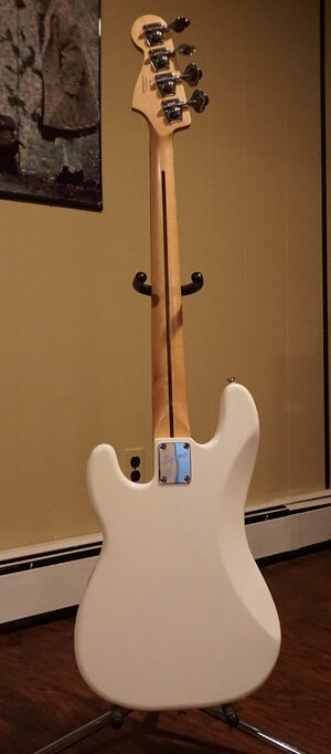 squier p back.jpg