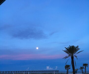 IMG_0972.JPG