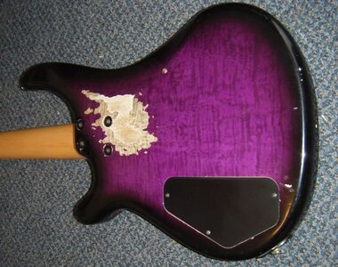 Fernandes004-crop2.jpg