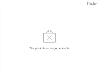2810594667_caf298ac18.png