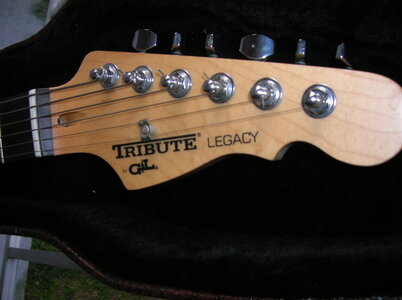 GLheadstock.jpg