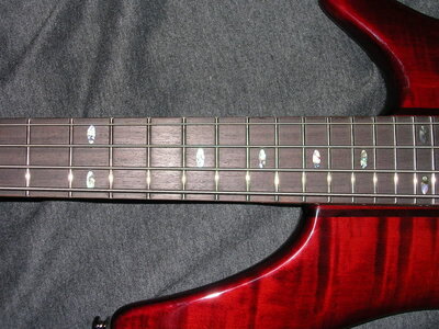 DSCN0450.jpg