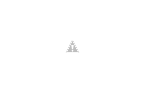 PDI_4.png