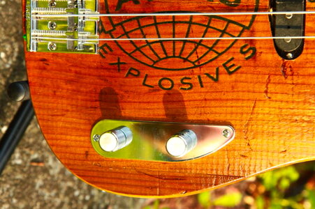 GroveGuitarsFreekbass51P_CTRLS_zpsjujvkgwh.jpg