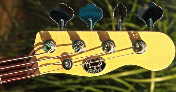 GroveGuitarsFreekbass51P_HDFR_zpsdsfrbhmx.jpg