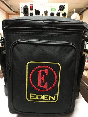 Gig Bag for Eden WTX-500 and WTX-264