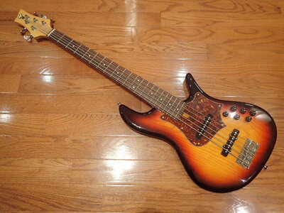 Feeler - F-Bass VF5 Custom