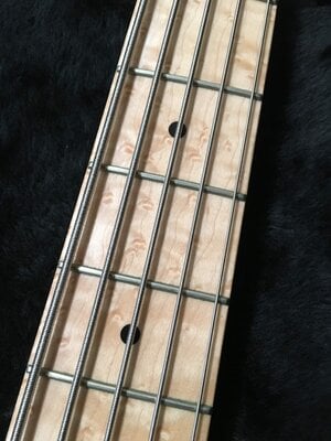 IMG_8024 Fodera neck.JPG