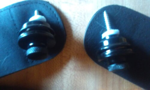 ESO Straplocks.jpg ESO Straplocks.jpg