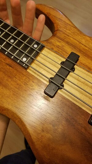 20180521_203651_resized.jpg