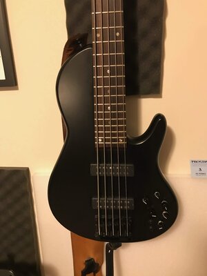 STR SIERRA 5 STRING