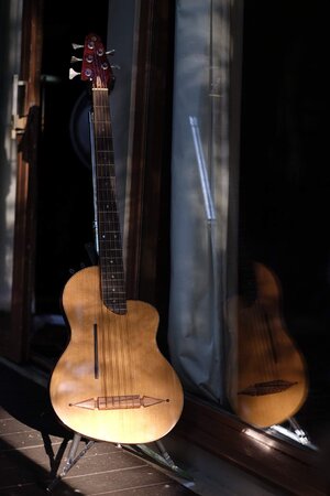 Rick Turner Renaissance 5 string Fretless