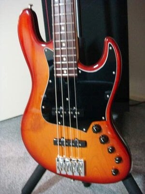 LullDowsky, front of body (in-focus).JPG