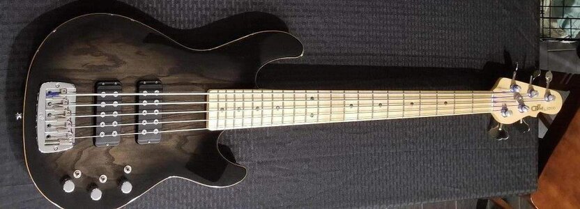 1 My G&L l2500.jpg
