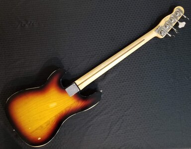 Bass Back Shot.jpg