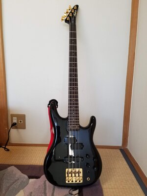 Aria Pro RSB Formula Elite One of a kind. Unique!