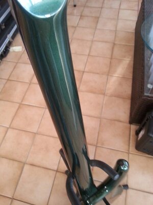 Green Bass 6.jpeg