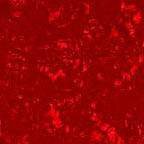 07EA007B-622F-46D1-86D3-BE36F55407F5.jpeg