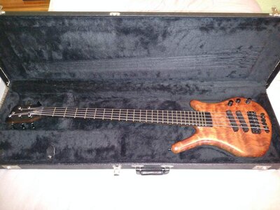 Warwick Thumb NT 5
