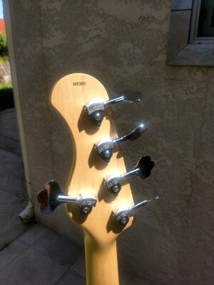 headstock back.jpg