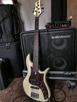 F Bass VF5 PJ