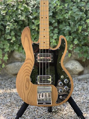 Peavey T-40 1981 Natural Like New, Fresh Set-up