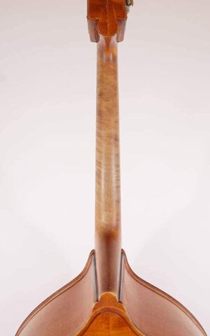 neck.jpg neck.jpg