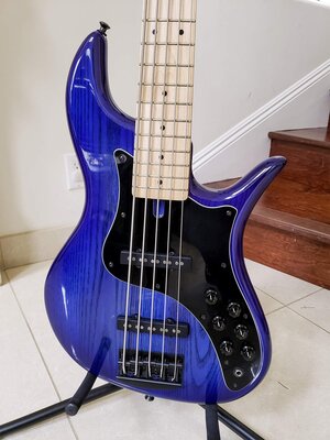 fbass-bluebirst_03.jpg