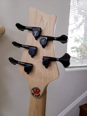 fbass-bluebirst_06.jpg